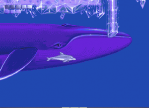 Ecco the Dolphin Free Download