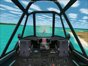 Combat Flight Simulator 2 for PC