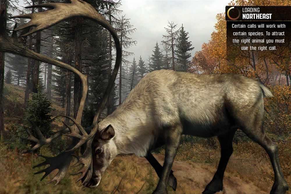 Deer hunter 2005 official download