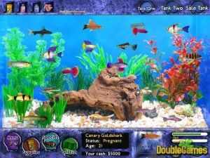 Fish Tycoon for PC