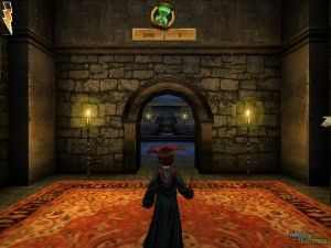 Harry Potter and the Chamber of Secrets (video game) for PC
