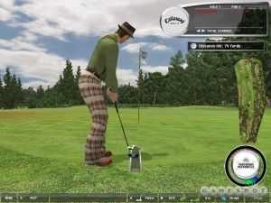 Tiger Woods PGA Tour 06 for PC