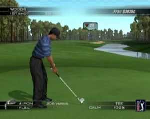 Tiger Woods PGA Tour 2005 Free Download