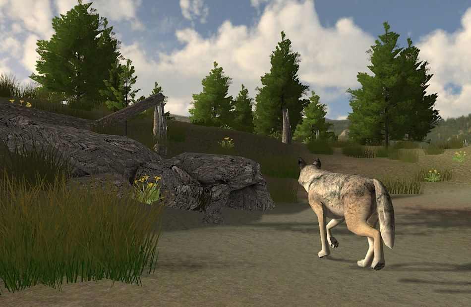 Free Wolf Quest Games