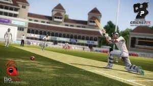 Don Bradman Cricket 14 for PC